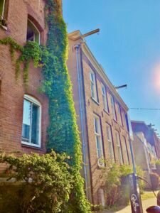 groengevel-kabelnetten-mesh-solutions