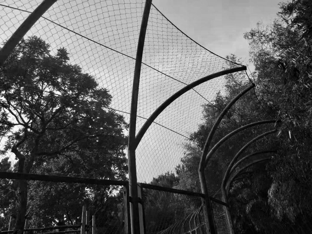 rvs-kabelnetten-dierenverblijf-mesh-solutions