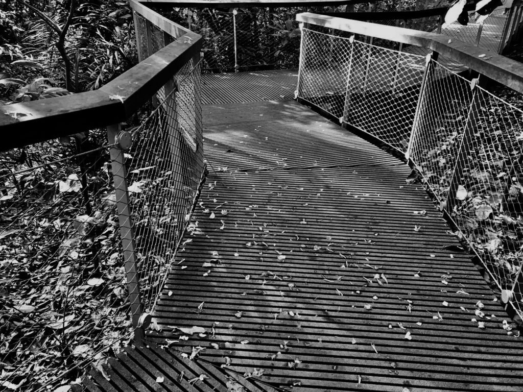 rvs-kabelnetten-transparante-balustrade-mesh-solutions