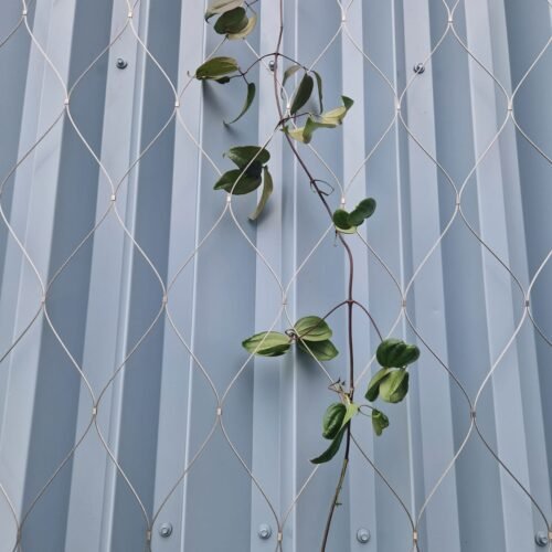 Groene gevel met kabelnetten - Mesh Solutions