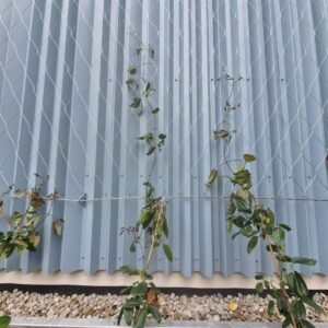 Diksmuide Politiebureau - Groene gevel, kabelnetten (01) - Mesh Solutions
